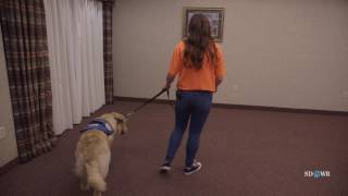 SDWR Training Overcoming Fear