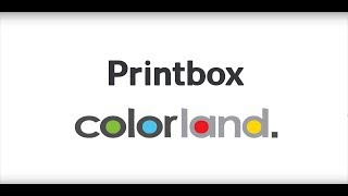 Testimonial video from Colorland.pl