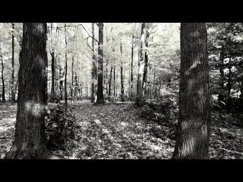 KRIEG IST SCHEISSE (Official Visual) | Still Fracture