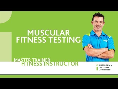 Muscular Fitness Testing