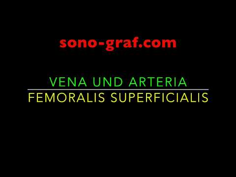 005 - Duplexsonografie - Vena und Arteria femoralis superficialis