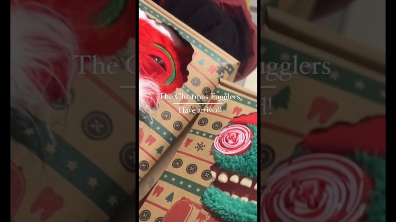 Top Christmas Toys, Christmas 2024 Santa Please Fill my Stocking With Fugglers. ❤️💚🤍❤️💚🤍❤️