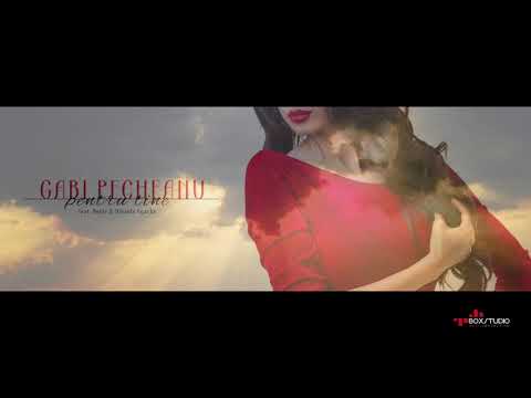 Gabi Pecheanu feat. NOSFE & Mihaela Agache - Pentru tine