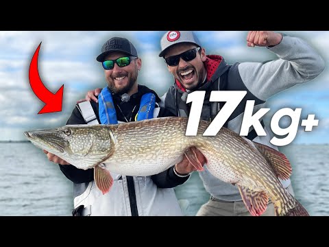 Freddy Harbort 125cm Pike - FULL FIGHT