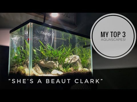 MY NEW PLANTED AQUARIUM SETUP! | My Top 3 Aquascapes