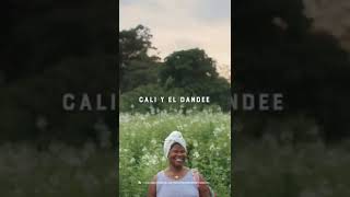 “Sabor a Colombia”