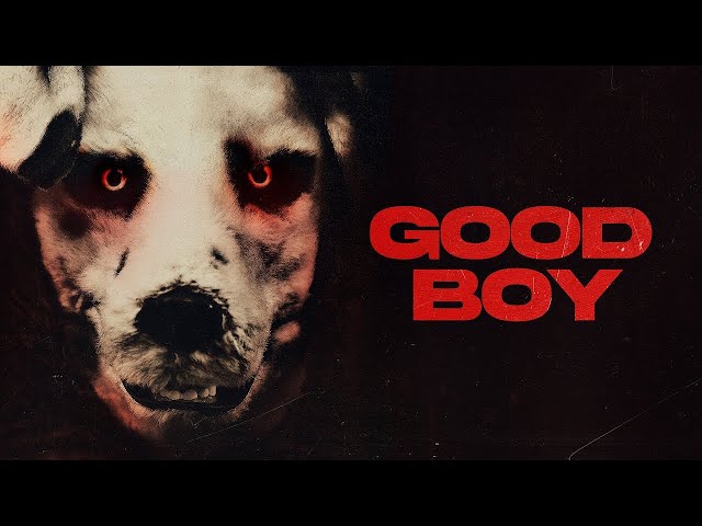 Dónde ver "Good Boy", la perturbadora película del hombre que actúa