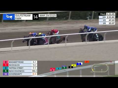 Gulfstream Park Race 14 ( Curlin Florida Derby S. Gr1 ) - March 29, 2025