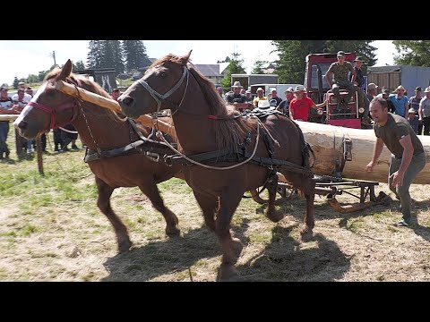 Iancu și Radu locul 2 la dublu Mărișel - Cluj -17 Iulie 2021-