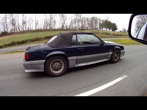 Rollin' in my 5.0 - 🧊🧊👶🏼