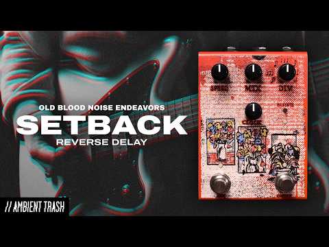Old Blood Noise Endeavors Setback Reverse Delay image 4