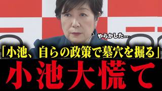 【小池百合子】自らの政策で減税できることを証明してしまう...小池大慌て【小池都知事/さとうさおり/都議会/学歴詐称疑惑/カイロ大学】