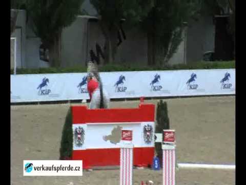 Zdenek Hruska CALATA CSIO Linz NationsCup 2014