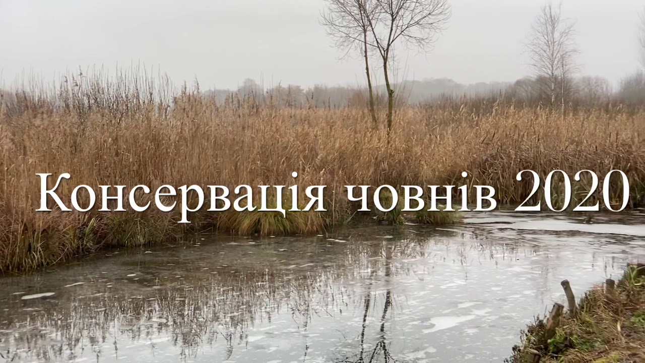 Консервація човнів на Оствиці