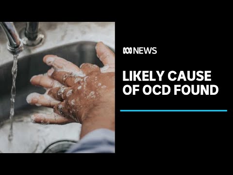 Researchers find likely cause of obsessive-compulsive disorder | ABC News