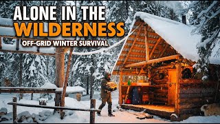 Off Grid Winter Living. 48 Hours in a Frozen Forest Cabin