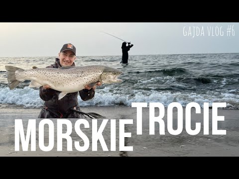 MORSKIE TROCIE Z BRZEGU - Marcin Gajdamowicz