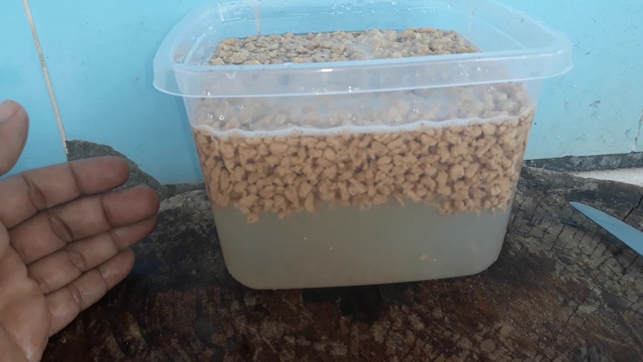 A MELHOR RECEITA DE CARNE DE SOJA DO MUNDO | RÁPIDO E FÁCIL| SOLTINHA (Segredos da Roça)