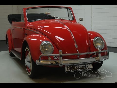 1959 Volkswagen Beetle (CC-1209265) for sale in Waalwijk, Noord-Brabant