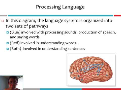 MODULE 2 Distributed Representation