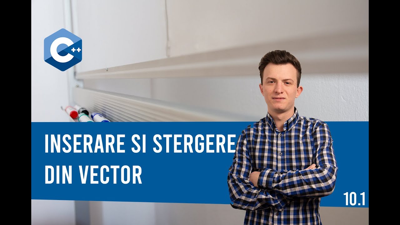 Watch Stergerea Unui Element Din Vector C++ Now Tutorial C++ | Inserare si stergere vectori