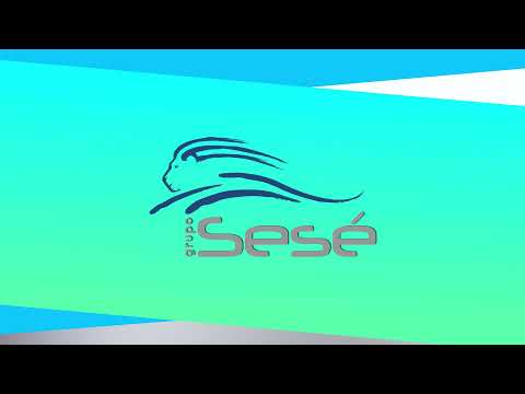 Grupo Sesé, Premio RSA 2021 - Categoría Gran Empresa