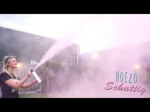 Gender Reveal MINI Blusser | HoezoSchattig.nl