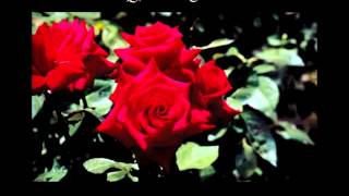 The beat of black wings "Garden of love Pt. 1" ("Garden of love")