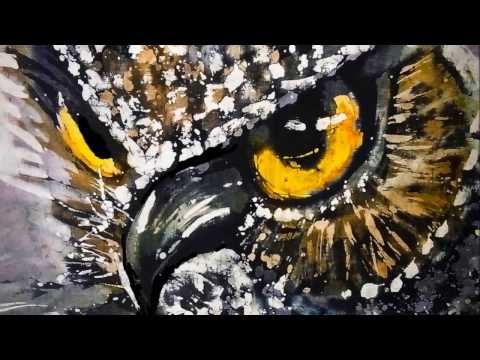 Dzikie Tatry - PUCHACZ