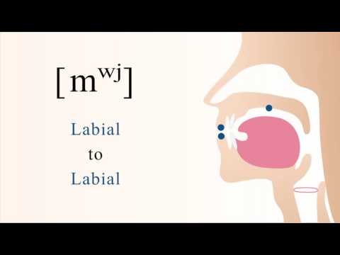 [ mʷʲ ] voiced unaspirated labialized palatalized bilabial nasal stop