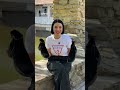 Черевики женские замшевые на байке 596786 Черные Відео