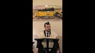כלל ב' חלק ג' | בזמנינו שיש כלי תקשורת, האם כל העולם נחשב כעיר אחת?