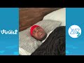 New HaHaDavis Big Fella Instagram Videos Compilation February 2021 W Titles