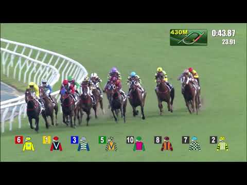 16/7/2022 (835) Lucky Sweynesse - Z Purton