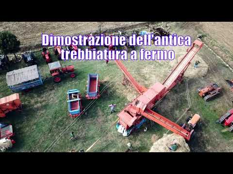 Trattori in festa 2019 |preview|