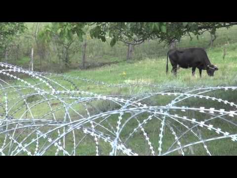 Five Years After Russia-Georgia War, New 'Rural Berlin Walls' Cut Communities