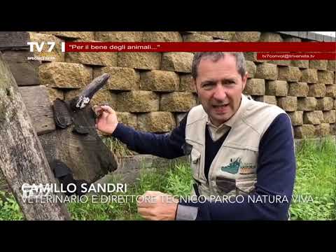 TV7 CON VOI SPECIALE SERA DEL 22/2/22 (5 di 8)