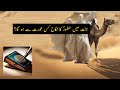 Jannat Mein Huzoor Ki Shadi Kisse Hogi Best Aurton Ko Jannat Mein Kia Mily Ga