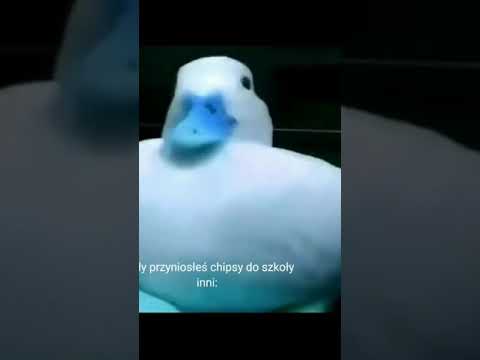 kiedy przyniosłeś do szkoły chipsy #mcdonalds #kaczor