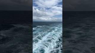Cruising #travel #holiday #cruise #cruiselife #youtubeshorts #youtube #sealife #vlog #video #fun