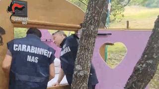 Alimenti scaduti e nessuna autorizzazione, il video dei Nas di Bologna nei campeggi e negli agrit...