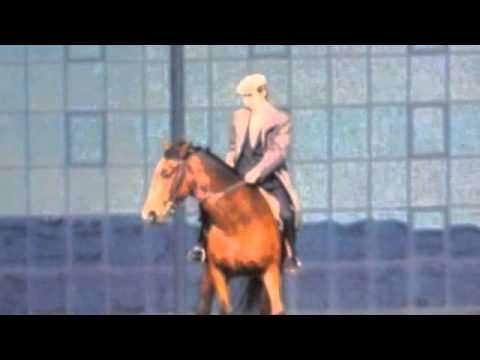 Frank Tovey & the Pyros - Cities of the Plain