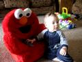 Elmo Chair