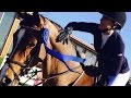 Kaley Cuoco Named Horsewoman Of The Year Proudly Displays Her Trophy