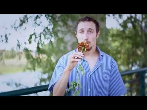 BONSO EL KOBRA - SERENATA TRASH [LOVE 2016]