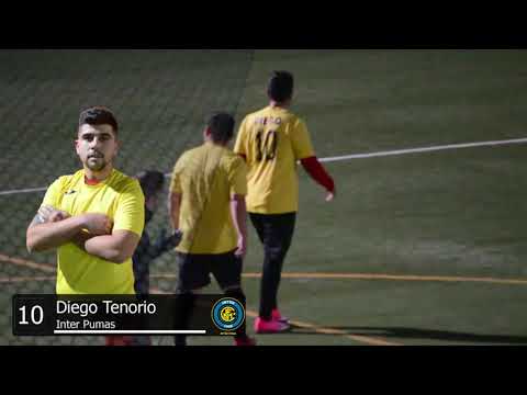 3ª GII. Dpvo. Babel - Inter puma