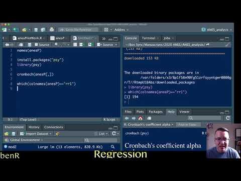 How to get Cronbach's alpha in R