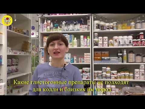 Какие антипаразитарные препараты можно колли