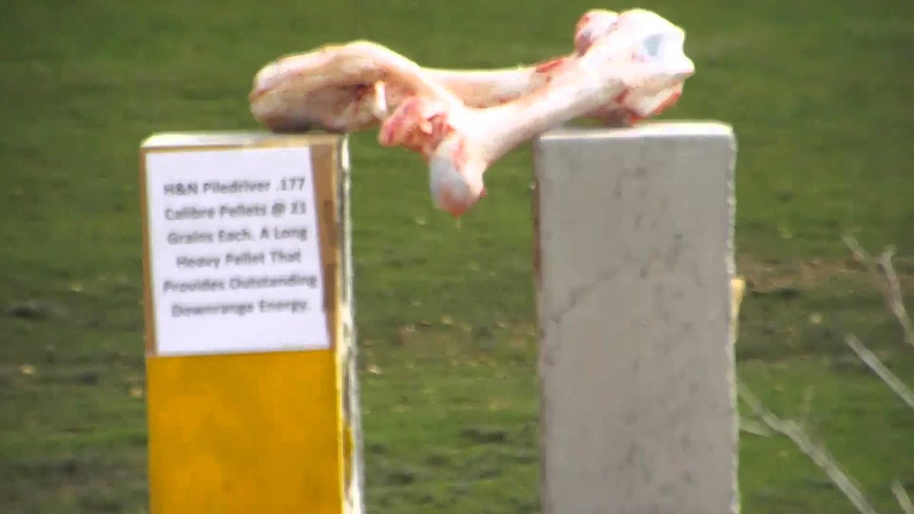 Пневматична гвинтівка Gamo Hunter Extreme кал.4,5