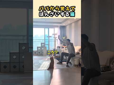 パパから覚えたら毎日これ😂